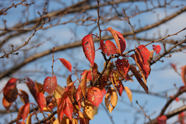resize7480