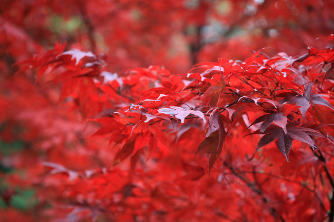 resize7462