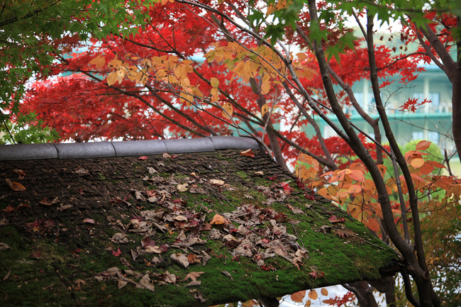 resize7467