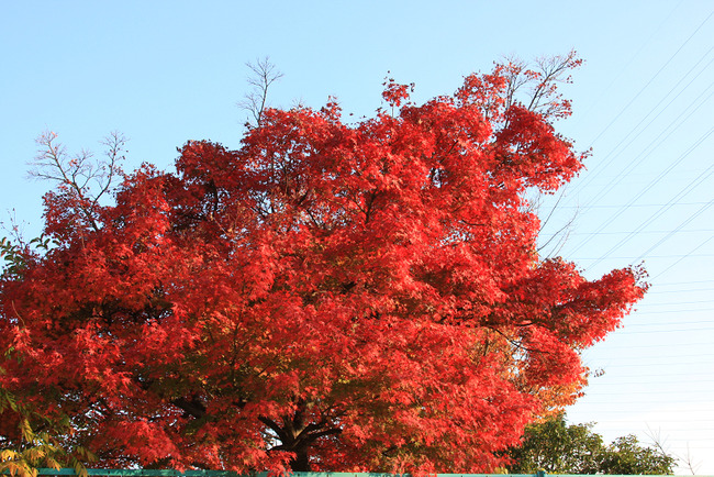 resize7482