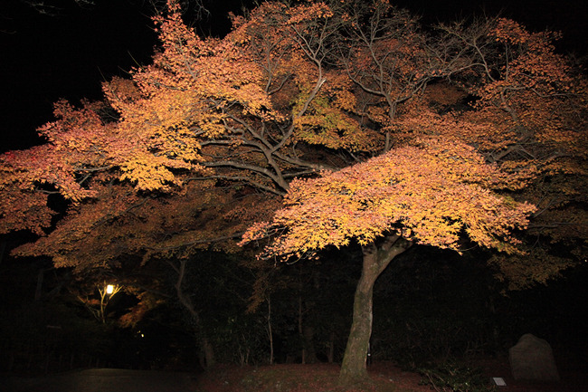 resize7471