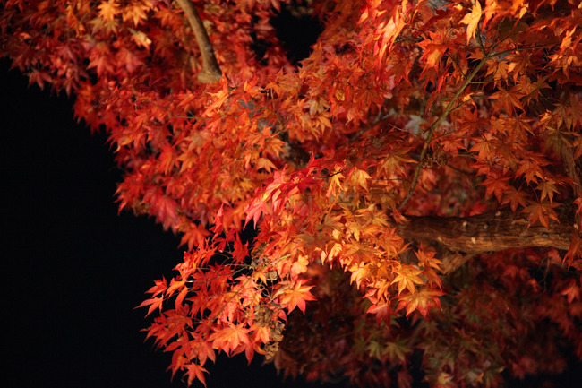 resize7473