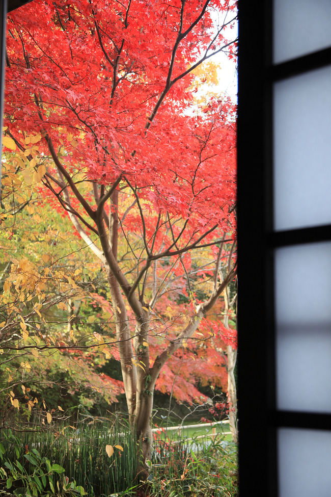 resize7457