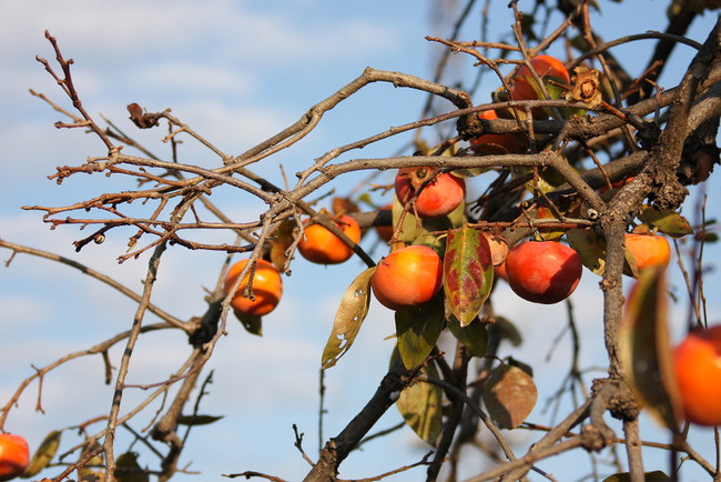 resize7483