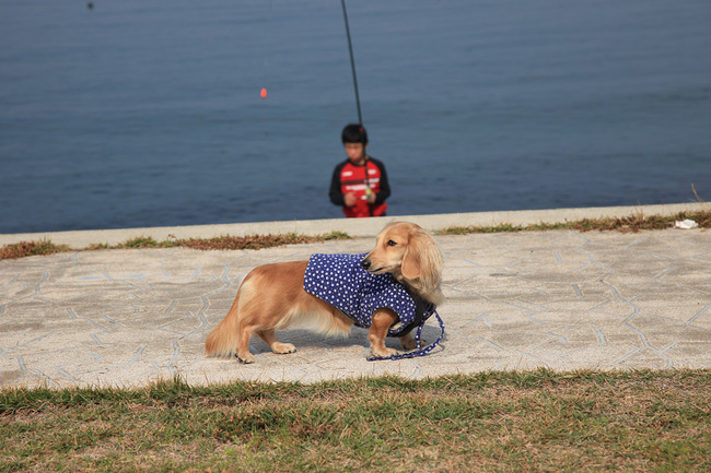 resize7371