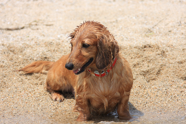 resize6435