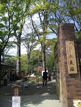 10041302