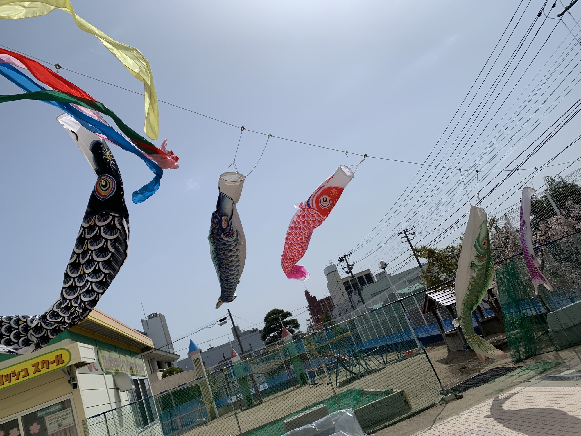 7E268D66-6972-455F-A74E-60B1A6FDFC02