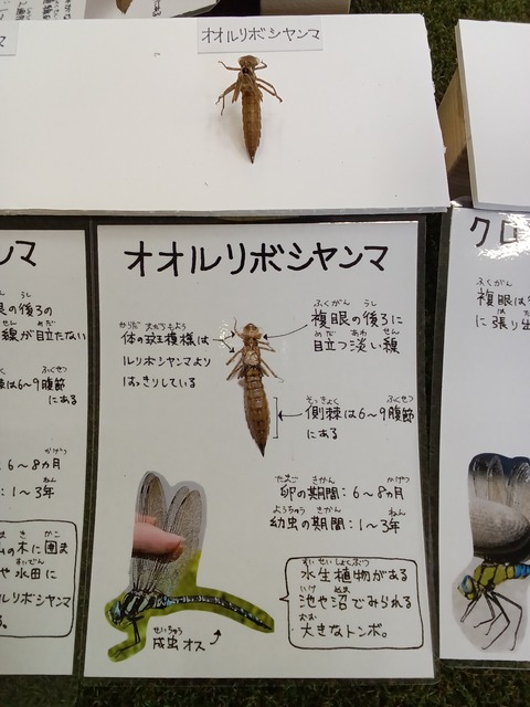 KIMG20250820_093300044