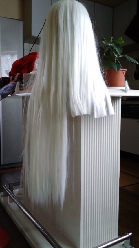 蛇神の蛇髪 こどうすくねｂｌｏｇ サレド愛シキ日々