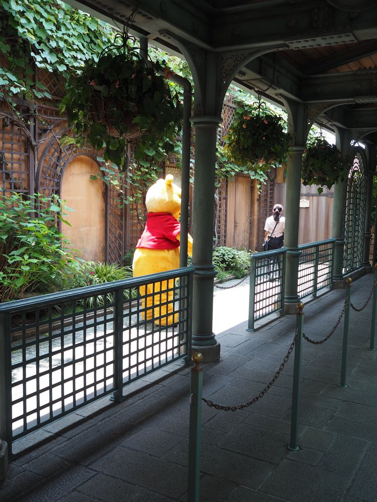 17年7月 七夕 子連れ東京ディズニーランド その４ プーさんのハニーハント ゆーしんの5人家族の子連れ旅行と日々あれこれ