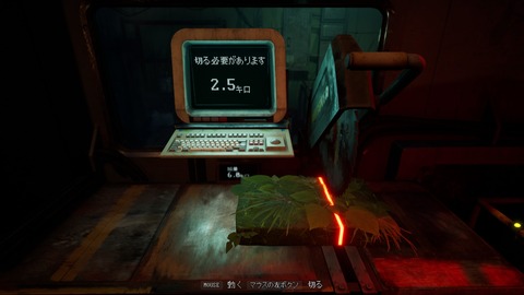 20241005020724_1
