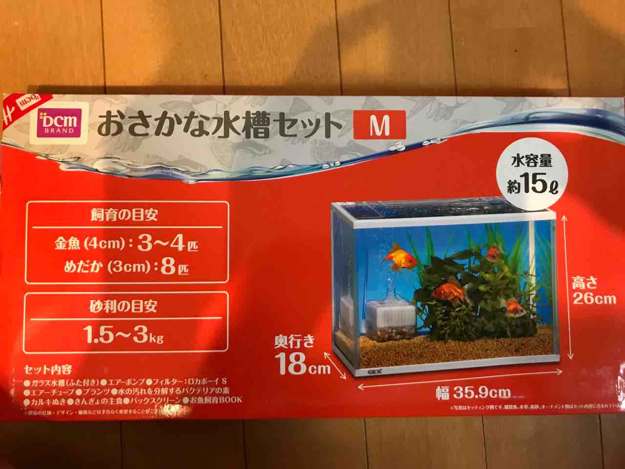 熱帯魚 コーエキのスタッフblog