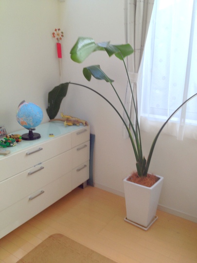 子供部屋 大きすぎるオーガスタ