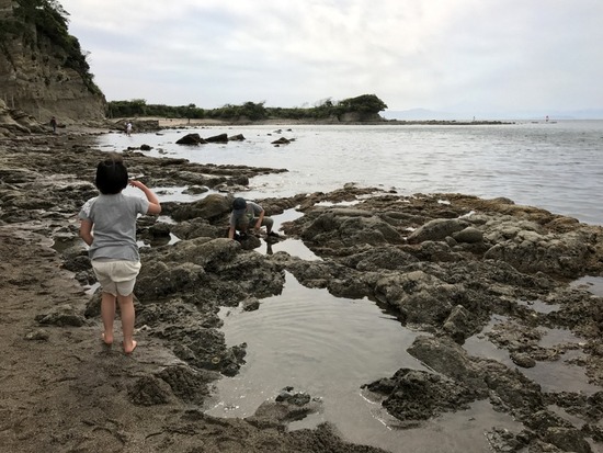長者ヶ崎海岸