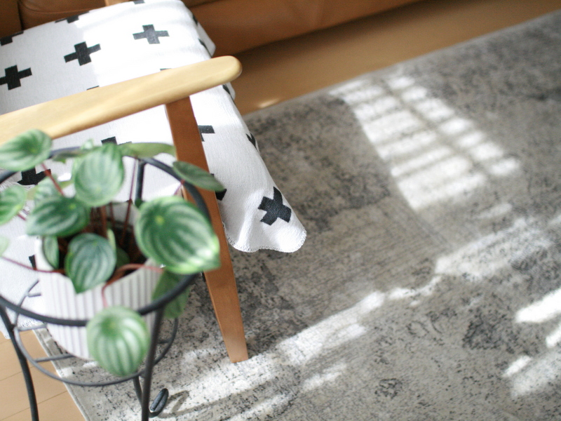 ZARA homeのラグ : 公園よこのちいさないえから