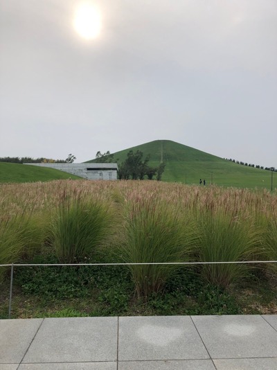 Image-7