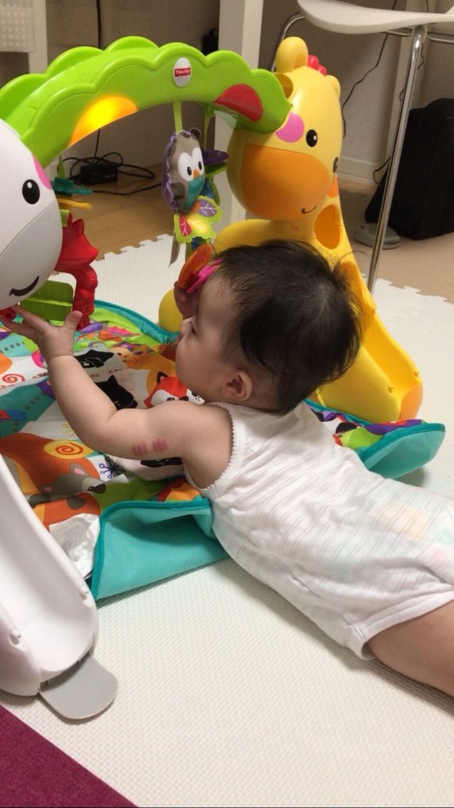 0歳育児 おもちゃランキング 生後7ヶ月 Kofuchanmamaのblog
