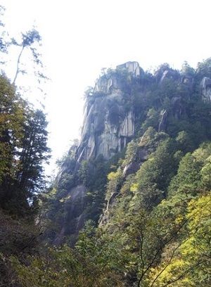 image12
