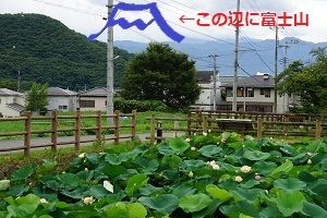 DSC00618