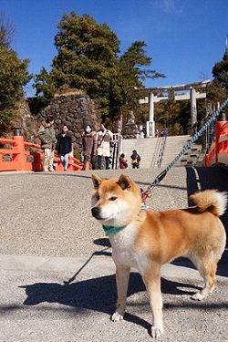 IMG_0014