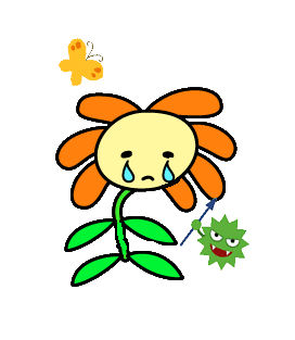 ��