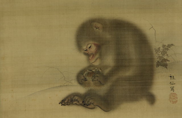 【真作】森祖仙/森狙仙/親子猿之図/掛軸☆宝船☆Y-896　JM 真作】森祖仙/森狙仙/親子猿之図/掛軸☆宝船☆