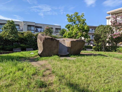 PXL_20220724_071458376
