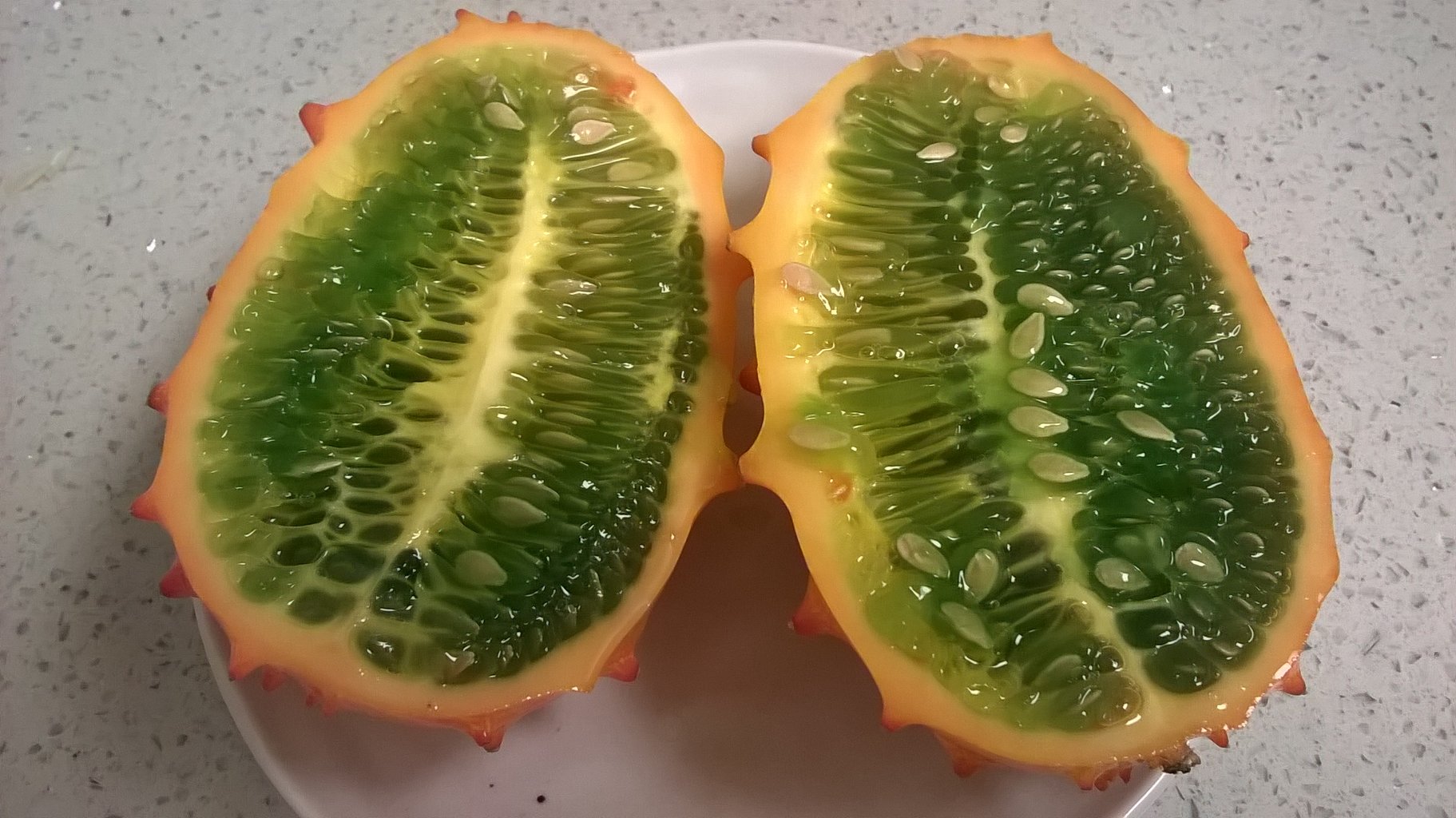 キワノメロン ペピーノメロン プー太郎 こぐれん のカリフォルニア生活記 続編 キワノメロン ペピーノメロン プー太郎 こぐれん のカリフォルニア生活記 続編