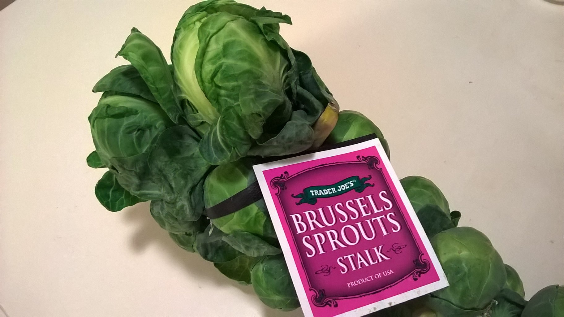 芽キャベツ Brussels Sprouts プー太郎 こぐれん のカリフォルニア生活記 続編 芽キャベツ Brussels Sprouts プー太郎 こぐれん のカリフォルニア生活記 続編