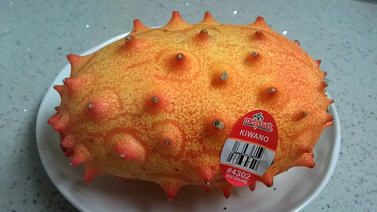 キワノメロン ペピーノメロン プー太郎 こぐれん のカリフォルニア生活記 続編 キワノメロン ペピーノメロン プー太郎 こぐれん のカリフォルニア生活記 続編