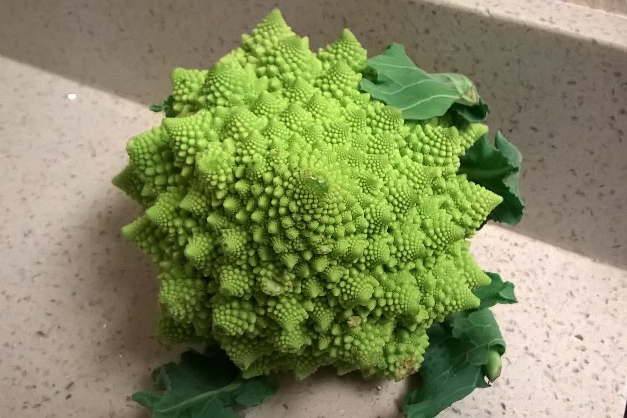 ロマネスコブロッコリー Romanesco Broccoli プー太郎 こぐれん のカリフォルニア生活記 続編 ロマネスコブロッコリー Romanesco Broccoli プー太郎 こぐれん のカリフォルニア生活記 続編