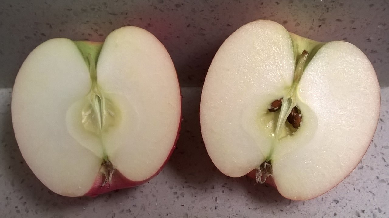 Trader Joe Sのリンゴ７種食べ比べ プー太郎 こぐれん のカリフォルニア生活記 続編