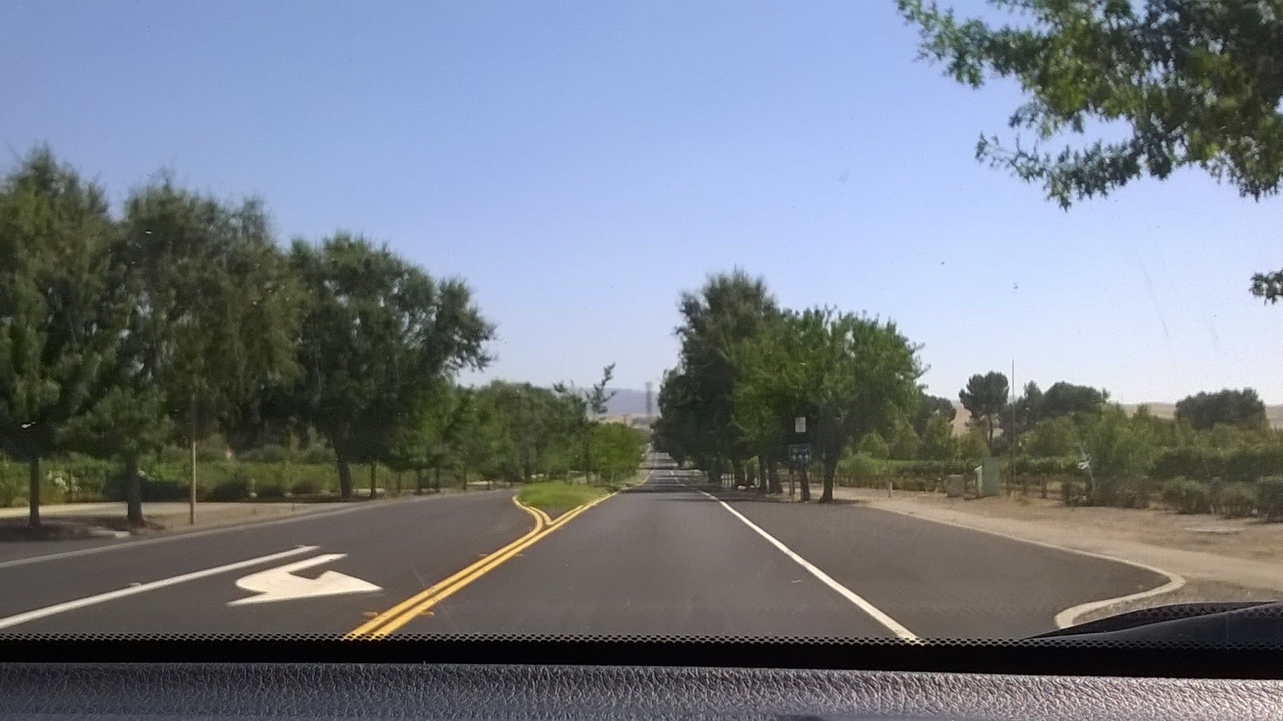 リバモアバレー Livermore Valley ワイナリー プー太郎 こぐれん のカリフォルニア生活記 続編 リバモアバレー Livermore Valley ワイナリー プー太郎 こぐれん のカリフォルニア生活記 続編
