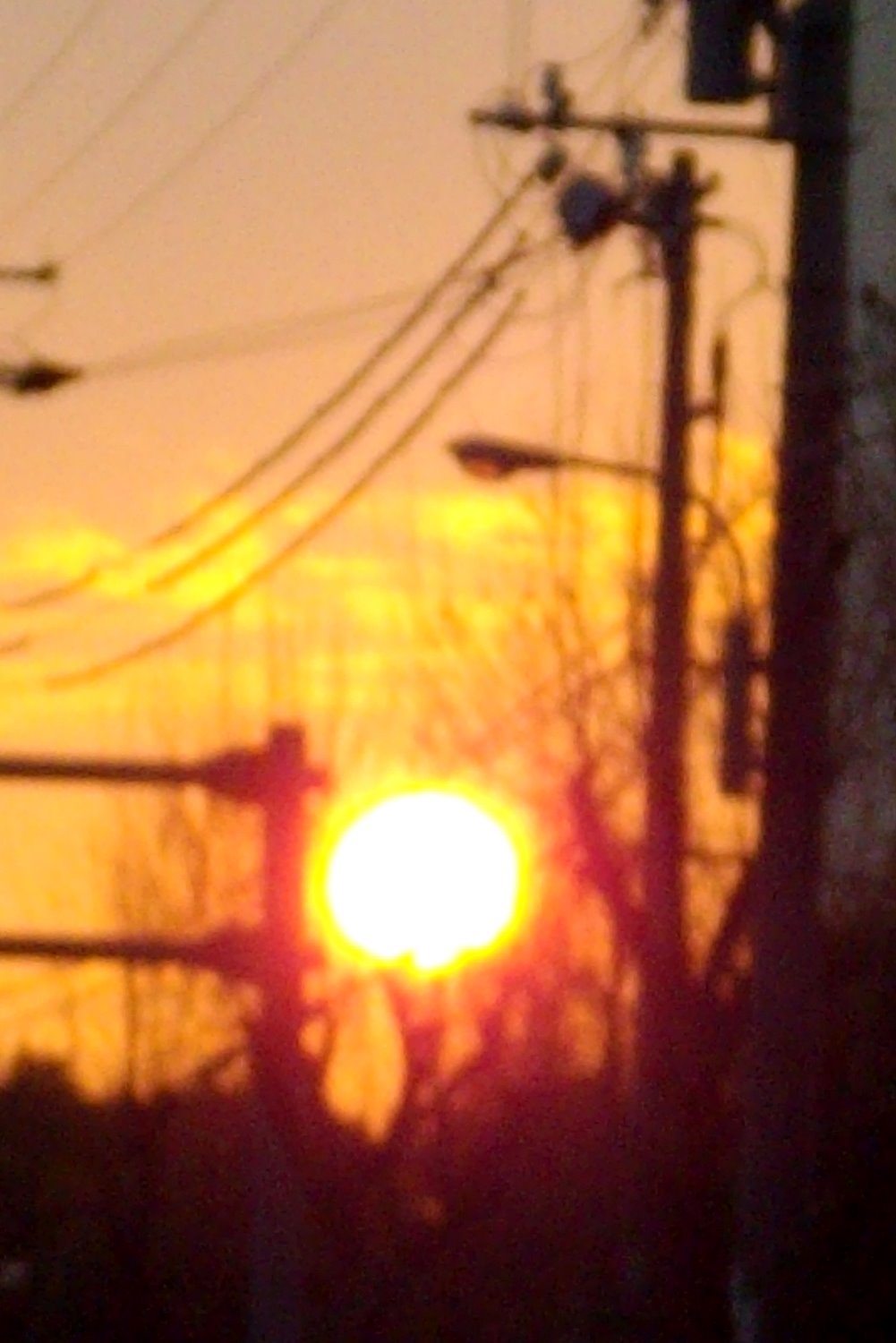 ある冬の朝にピンボケ画像を撮る Kohの写真館