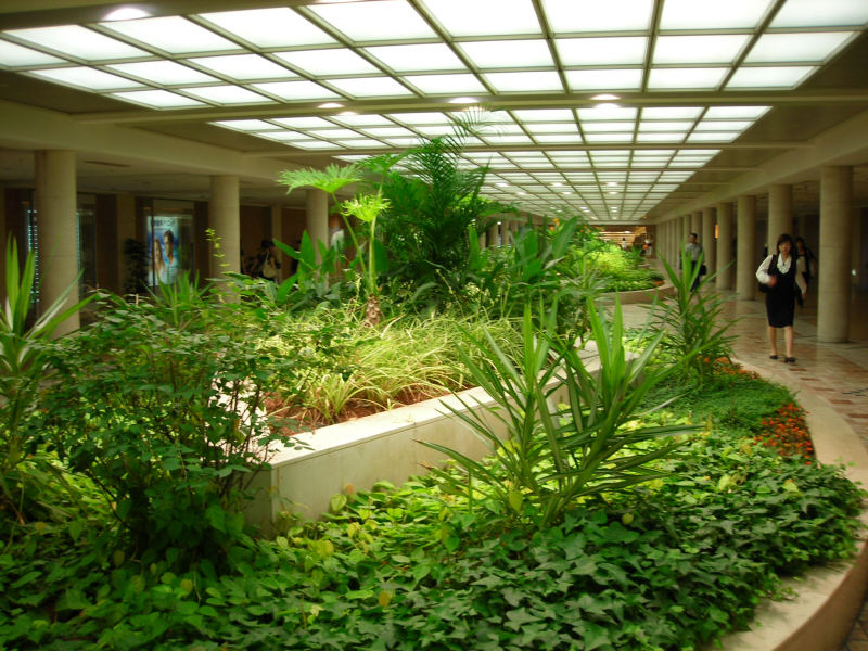 地下庭園 大阪市北区 Kohの写真館 地下庭園 大阪市北区 Kohの写真館