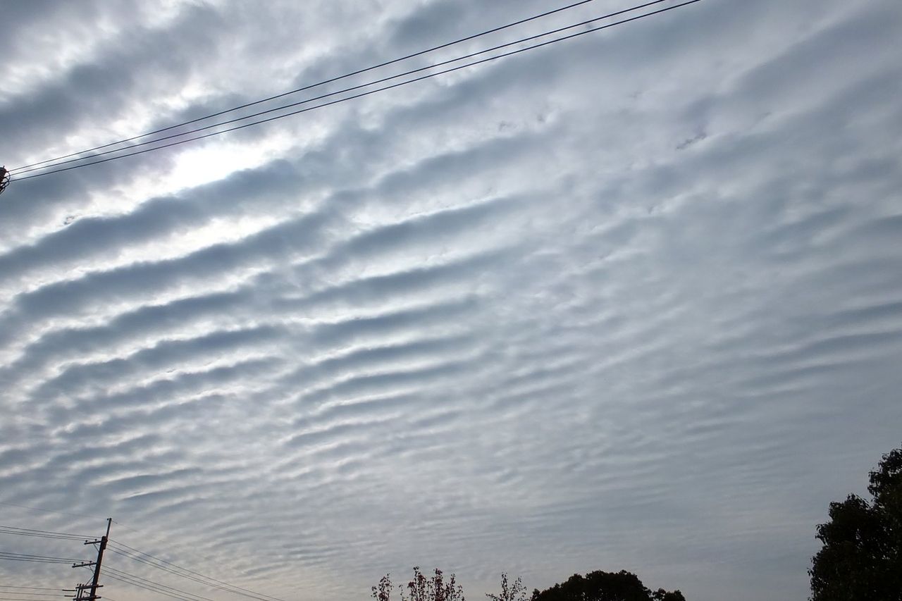 拙宅の上空を覆う珍しい雲 神戸市西区 Kohの写真館 拙宅の上空を覆う珍しい雲 神戸市西区 Kohの写真館