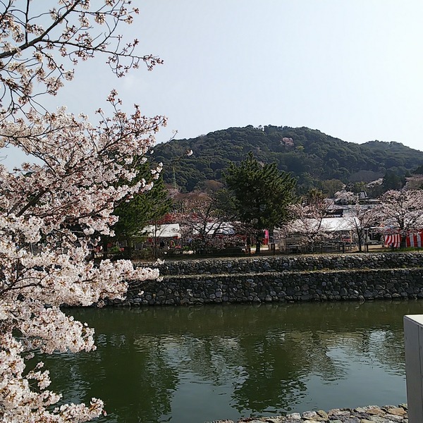 IMG_20190406_094211_164