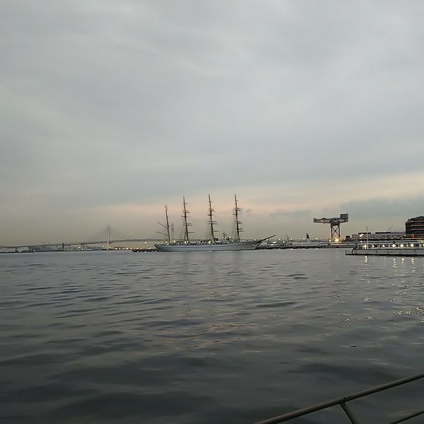 IMG_20201028_165539_474