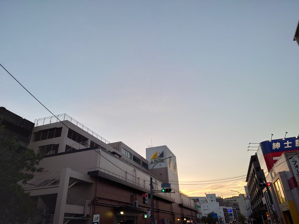 DSC_4381