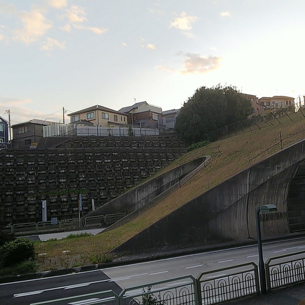 IMG_20201111_161206_744