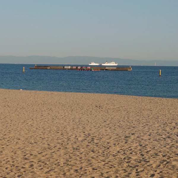 IMG_20210407_172015_361