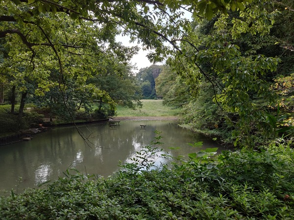 DSC_4754