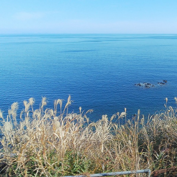 IMG_20210104_132019_931