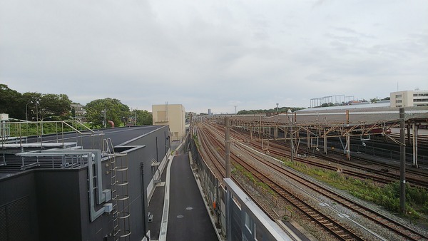 DSC_0581