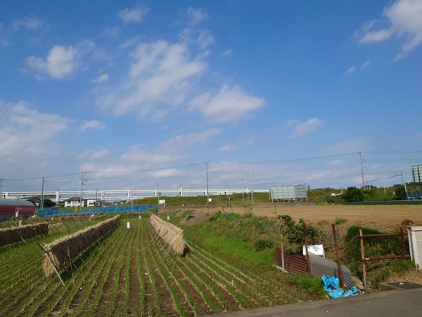 DSC_4781