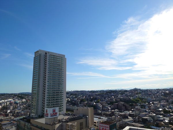 DSC_2549