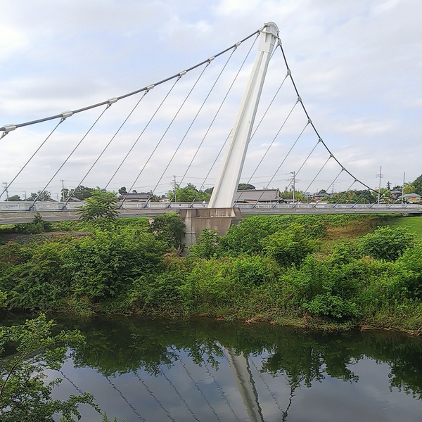 IMG_20200624_160730_534
