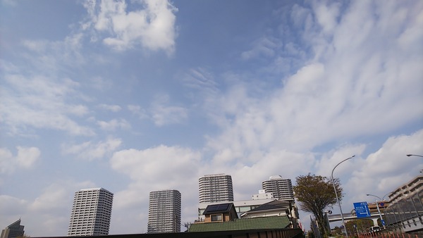 DSC_0266