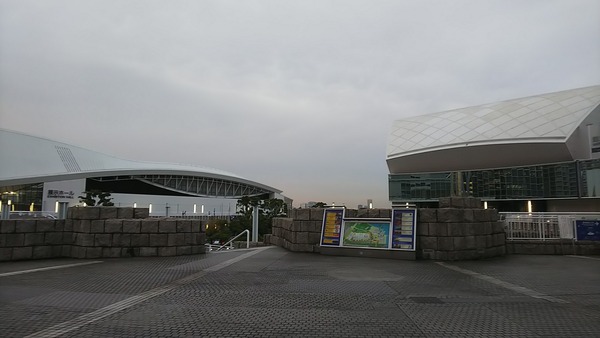 DSC_8019